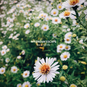 亚洲AV㊙️无码一区桃乃
